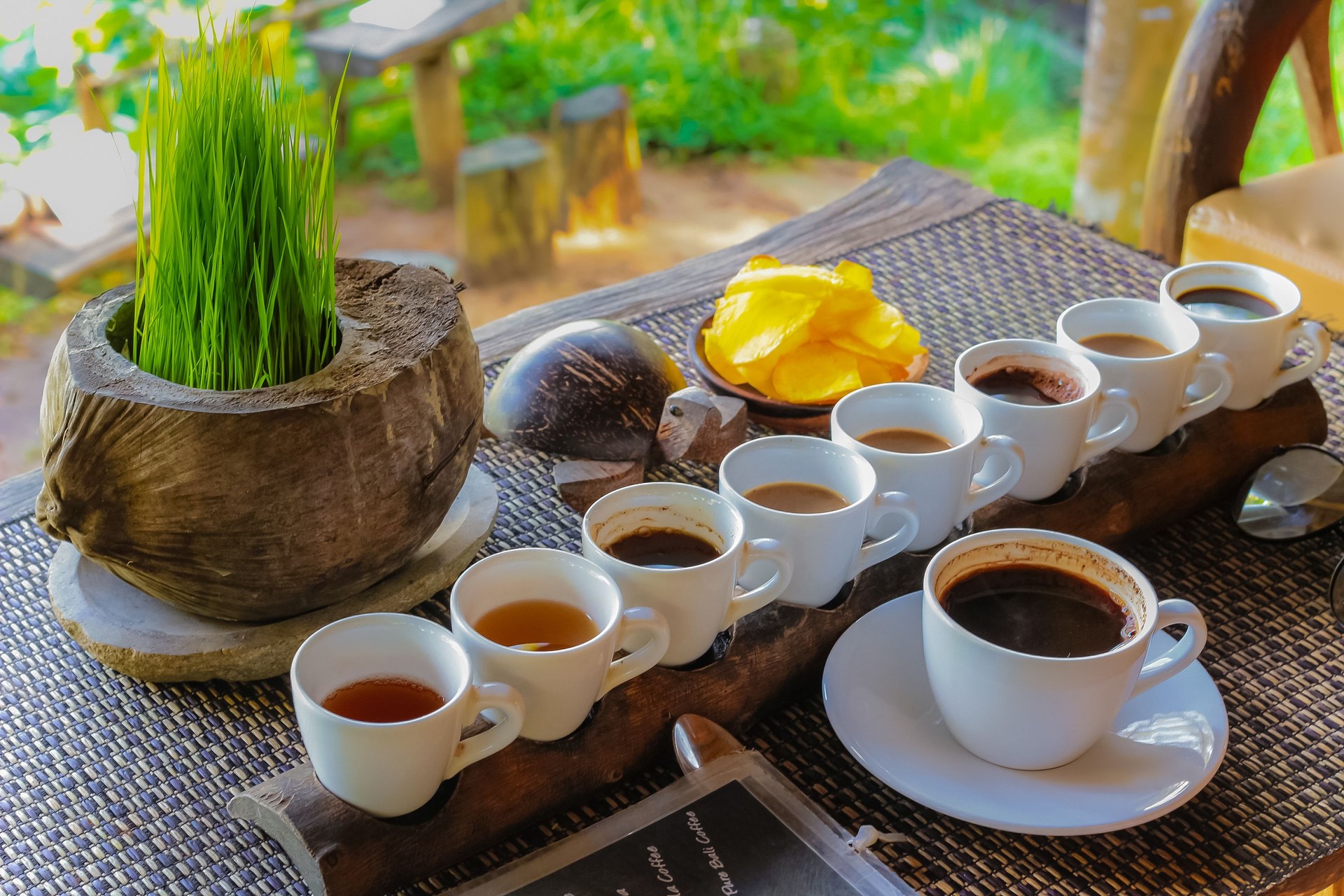 Luwak Coffee & Tea testing in Bali